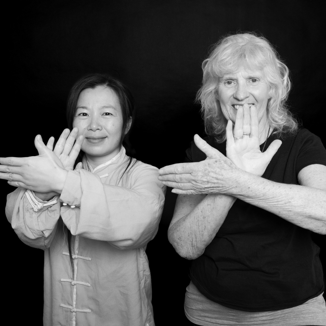 4-Session Online Tai Chi & Qigong Coaching Package – Private Lessons for Stress & Energy