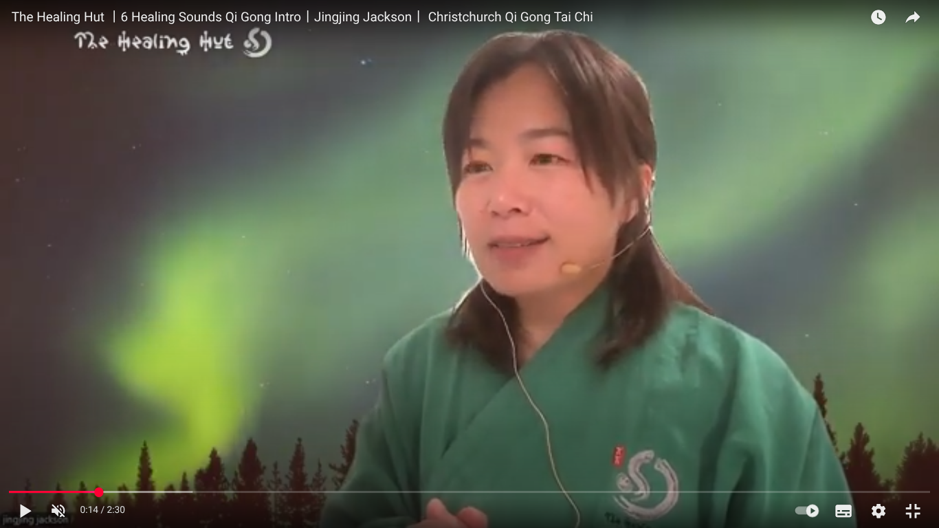 1-on-1 Online Tai Chi or Qigong Coaching (30 Minutes) for Healing and Balance