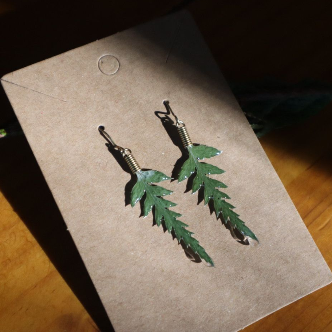 Pūniu (Shield Fern) Earrings – A Gift of Protection | Handmade Native Plant Jewellery