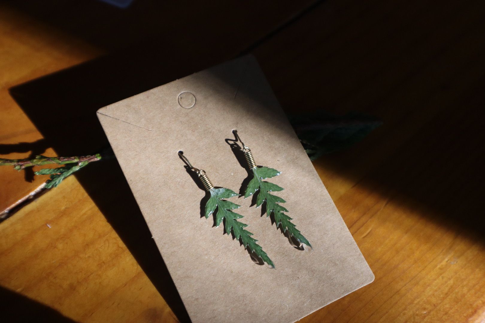 Pūniu (Shield Fern) Earrings – A Gift of Protection | Handmade Native Plant Jewellery