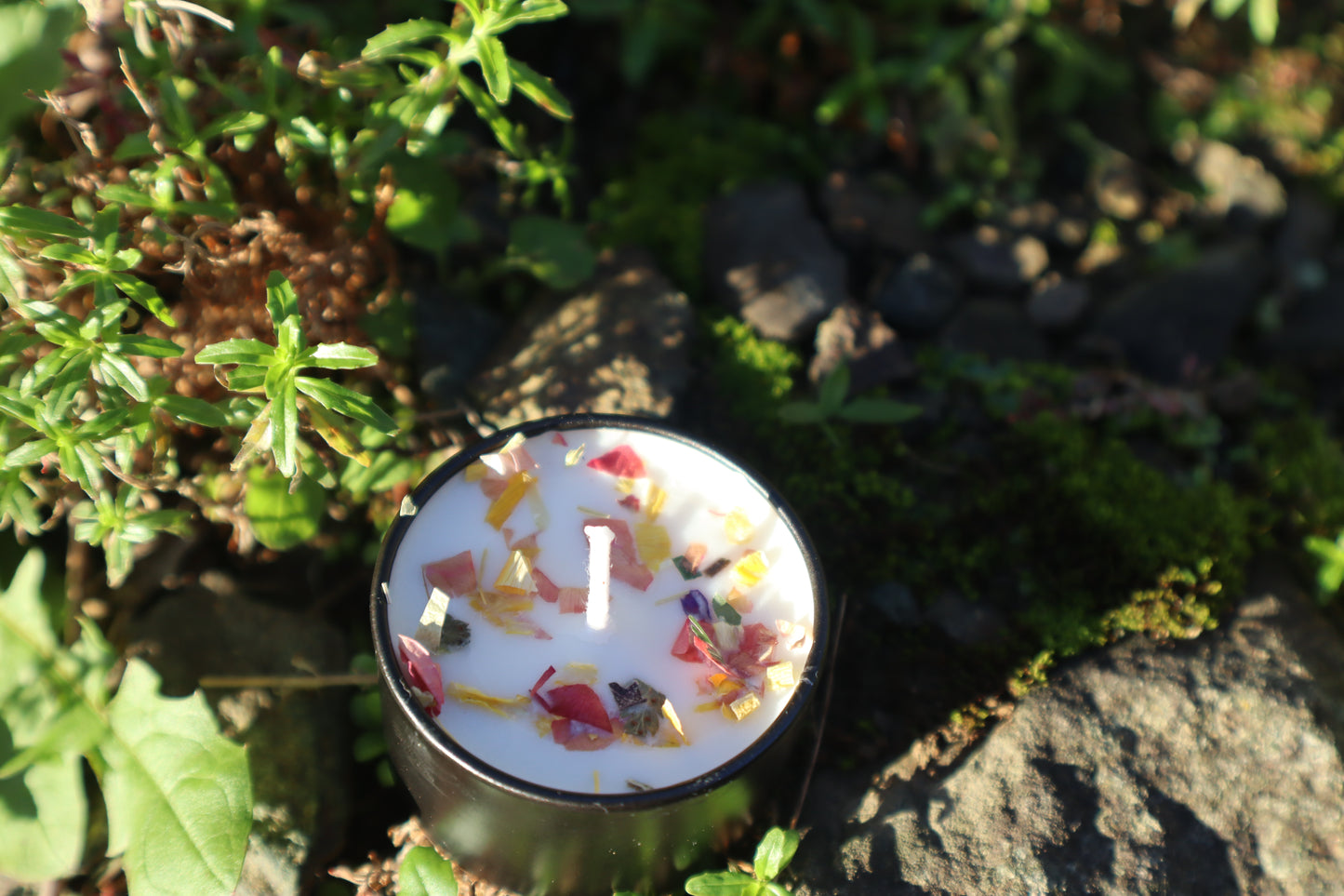 🍂✨ Sacred Flame Manifestation Candle ✨❄️