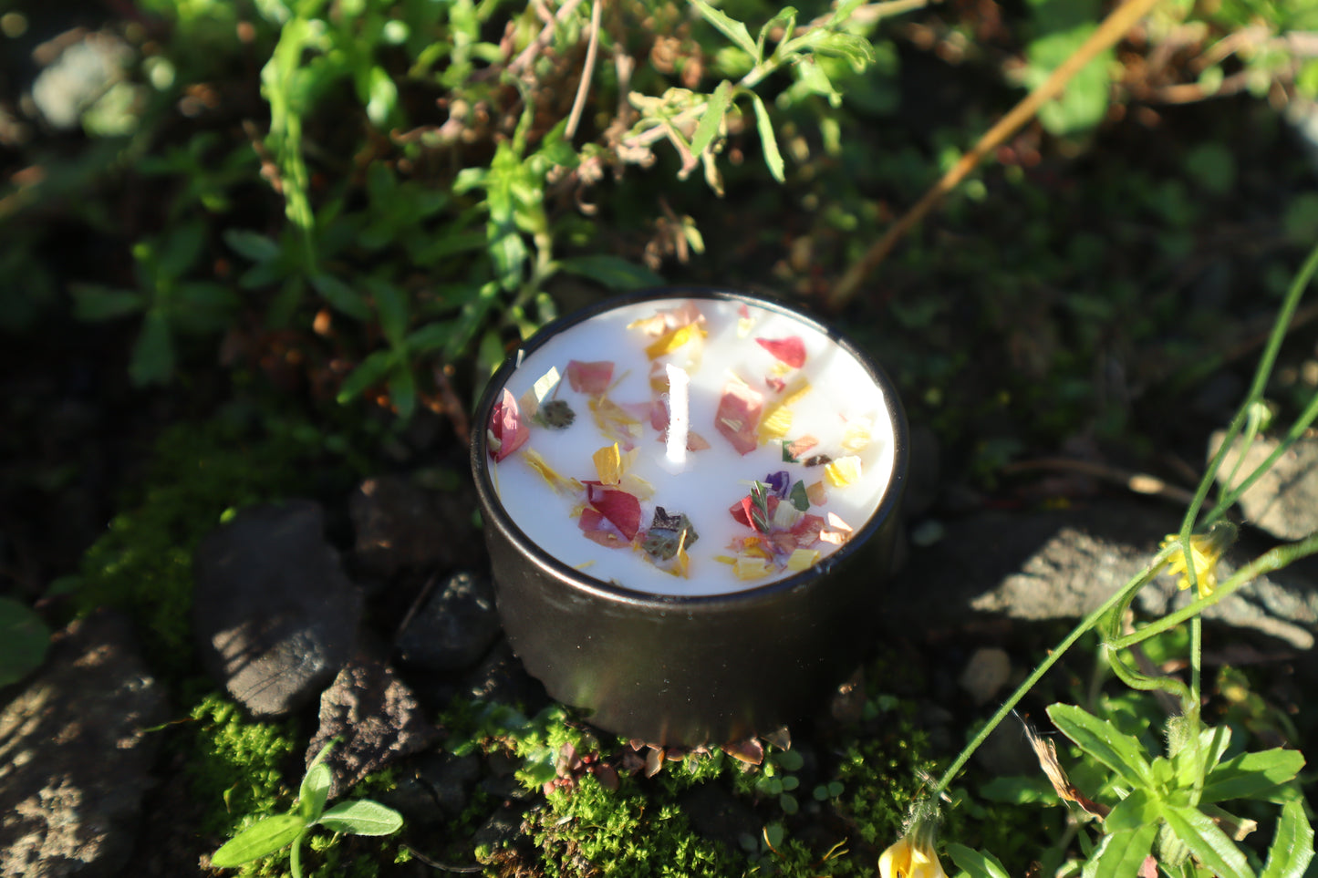 🍂✨ Sacred Flame Manifestation Candle ✨❄️