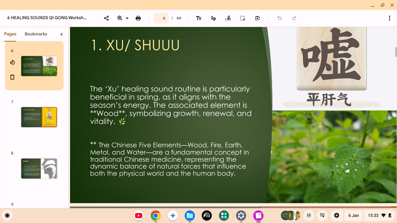 Six Healing Sounds Qigong Guide [43 Pages]