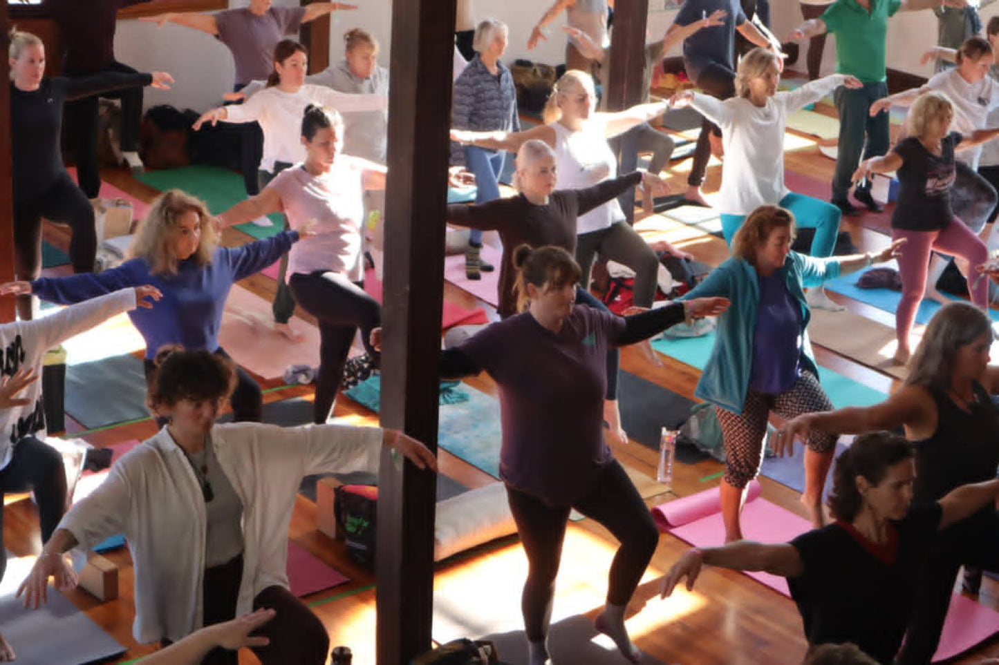 Qi gong For Yogis： Energy and Alignment [ Half-day Workshop]