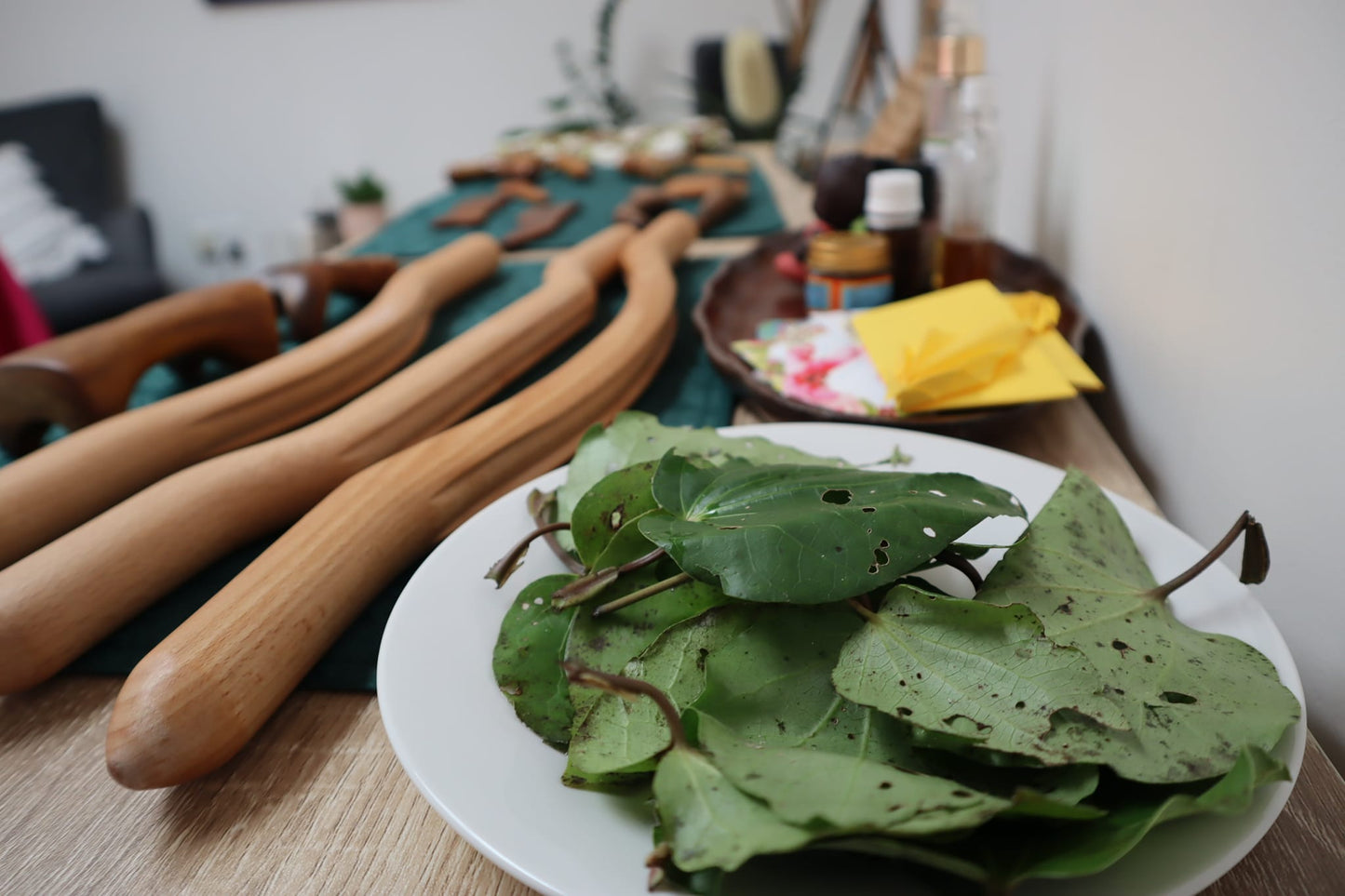 🌿 From Whenua to Wellbeing- Experience Rongoā Māori