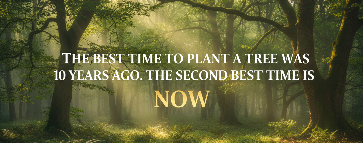 Forest scene with a motivational quote about planting trees.