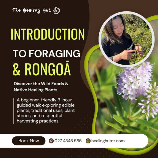 🌿 Introduction to Foraging & Rongoā Māori: Wānanga and Walk