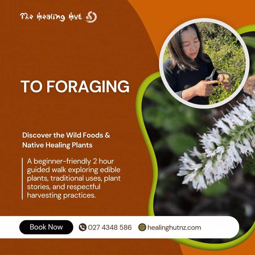 🌿 Introduction to Foraging & Rongoā Māori: Wānanga and Walk (Sept)