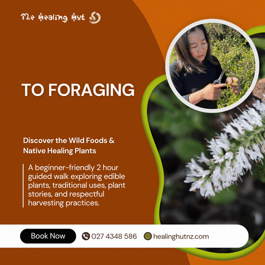 🌿 Introduction to Foraging & Rongoā Māori: Wānanga and Walk (Sept)